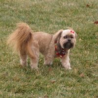 Jan Fitzpatrick Photo 14