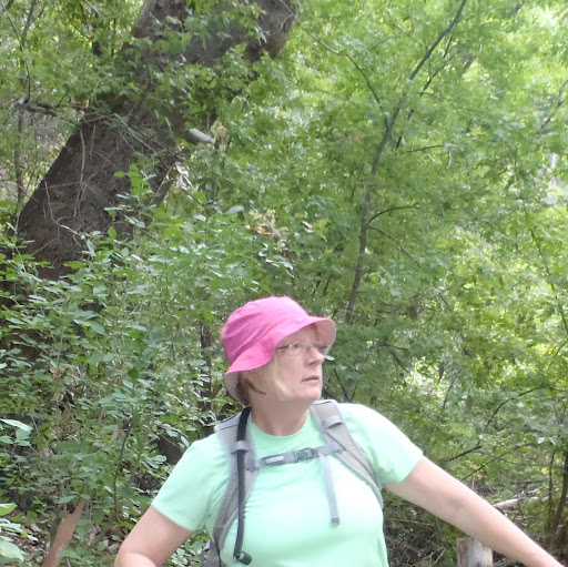 Kathy Tyler Photo 35