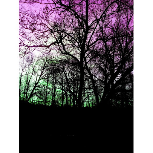 Amanda Carr Photo 17