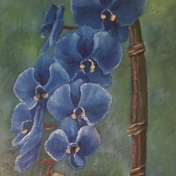 Jennifer Woods Photo 23