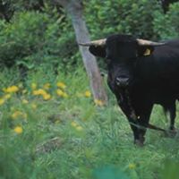 Stephen Shearman Photo 7