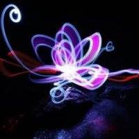 Kamaljit Shergill Photo 4