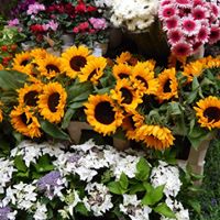 Rebecca Lavallee Photo 14