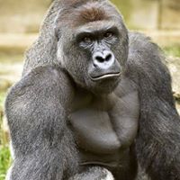 Jacob Atkinson Photo 28