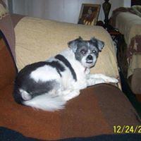 Sandra Lovell Photo 9