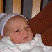 Patrick Nolan Photo 29