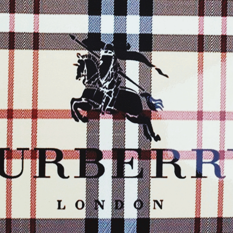 Stacy Jackson Photo 10 Stacy Jackson Photo 10