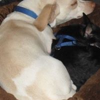 Jimmy Monroe Photo 17