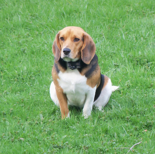 Ruby Hamilton Photo 9