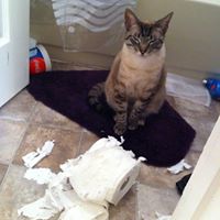 Geoffrey Mcdaniel Photo 3