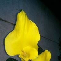 Katherine Peters Photo 21