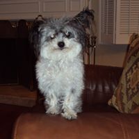 Frances Nichols Photo 33