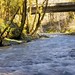 John Blodgett Photo 20
