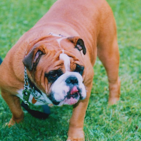 Rebecca Dodson Photo 24