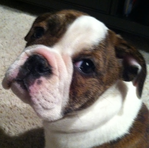 Marcia Schaefer Photo 10