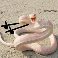 Joshua Campos Photo 29