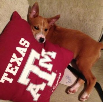 Julie Vogel Photo 22