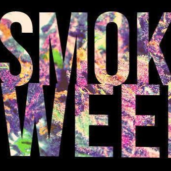 Robert Torrez Photo 15