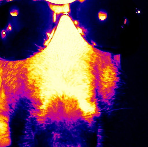 Traci Moody Photo 12