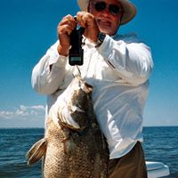 Gary Altman Photo 23