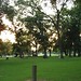 John Zink Photo 41