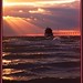 Teresa Forrest Photo 18