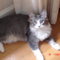 Bessie Taylor Photo 23