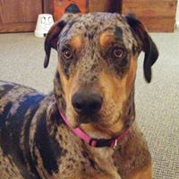 Debra Boyce Photo 15