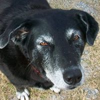 Stephanie Mory Photo 3