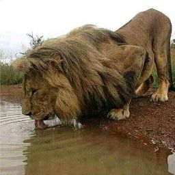 Francis Johnson Photo 43 Francis Johnson Photo 43