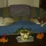 Kathy Niles Photo 8