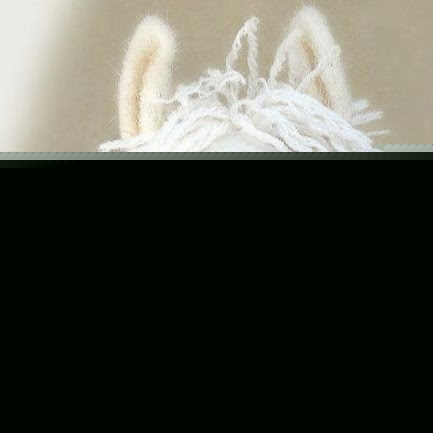 Karen Burns Photo 20