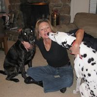 Janice Fehrman Photo 3