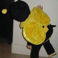 Fred Walters Photo 13