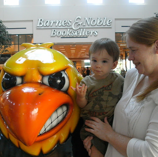 Stacy Ellison Photo 8