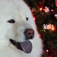 Rosemarie Clark Photo 11