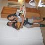 Kimberly Wheeler Photo 18