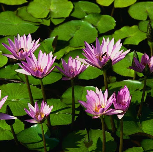 Anne Cain Photo 17 Anne Cain Photo 17