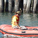 Michael Beckman Photo 34