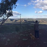 Harry Booker Photo 15