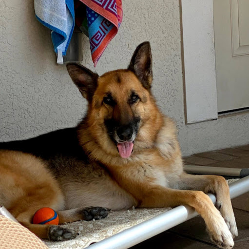 Janet Huston Photo 26