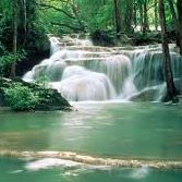 Deborah Bain Photo 15