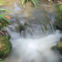 Calvin Cheng Photo 17 Calvin Cheng Photo 17