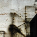 Ronnie Wise Photo 11