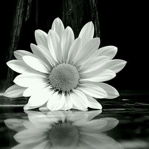 Carrie Fischer Photo 33