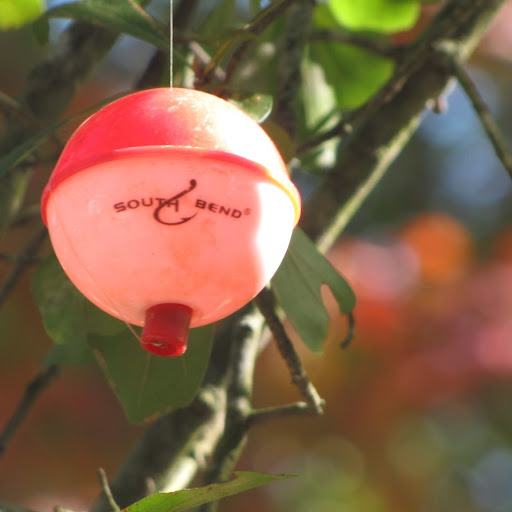 Cathy Shuler Photo 3