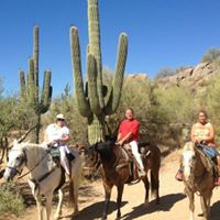 Sheryl Bacon Photo 15