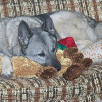 Cynthia Kinser Photo 13 Cynthia Kinser Photo 13