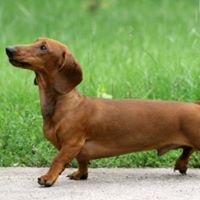 Phyllis Blevins Photo 9