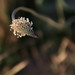 April Griffeth Photo 10